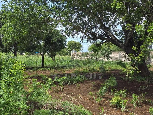 Bofa Plots Kilifi Walking Distance From Highway - thumbnail 5