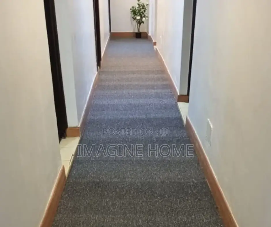 Step Into Comfort Wall to Wall Carpet