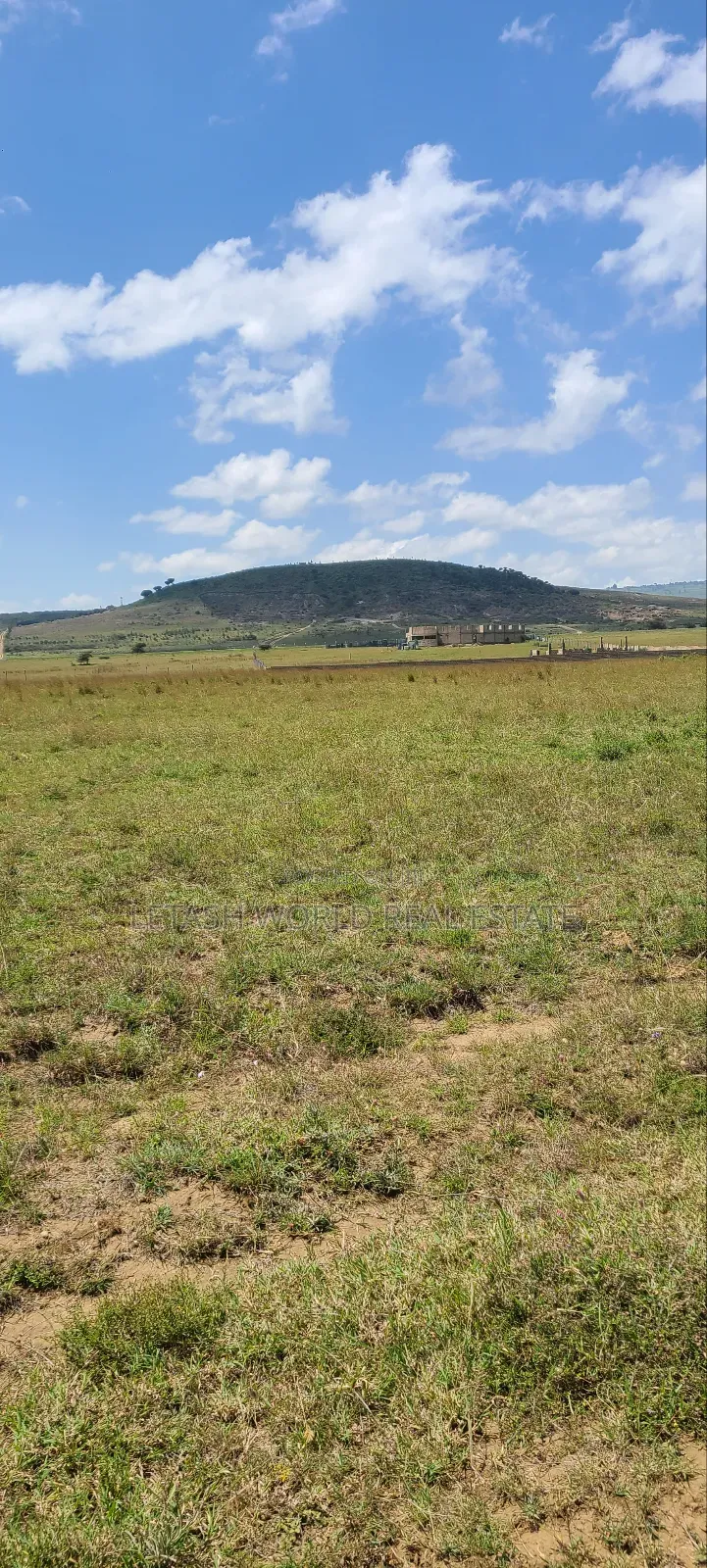 Just 1km From the Maimahiu Highway, 50 by 100 Feet