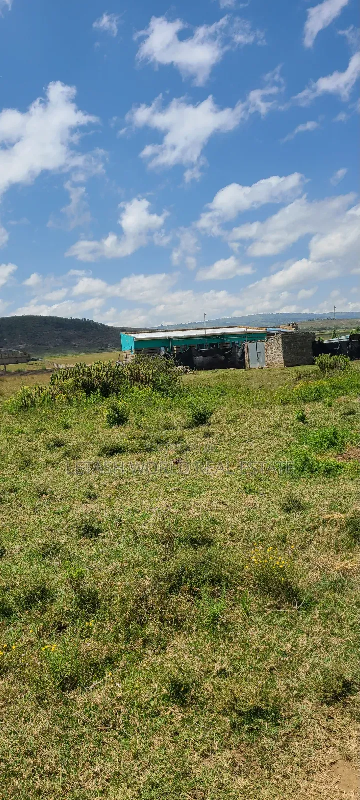 Just 1km From the Maimahiu Highway, 50 by 100 Feet