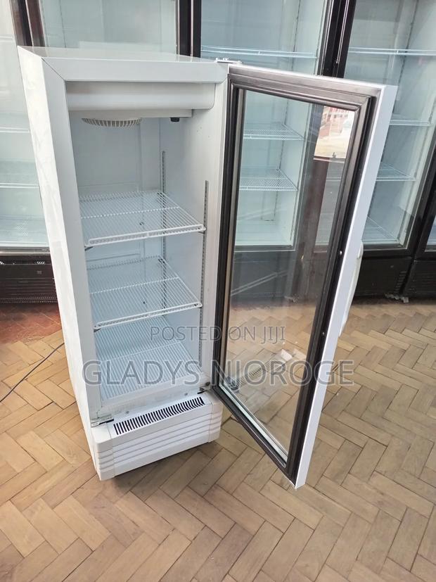 Sanden Intercool Fridge (200l) - thumbnail 3