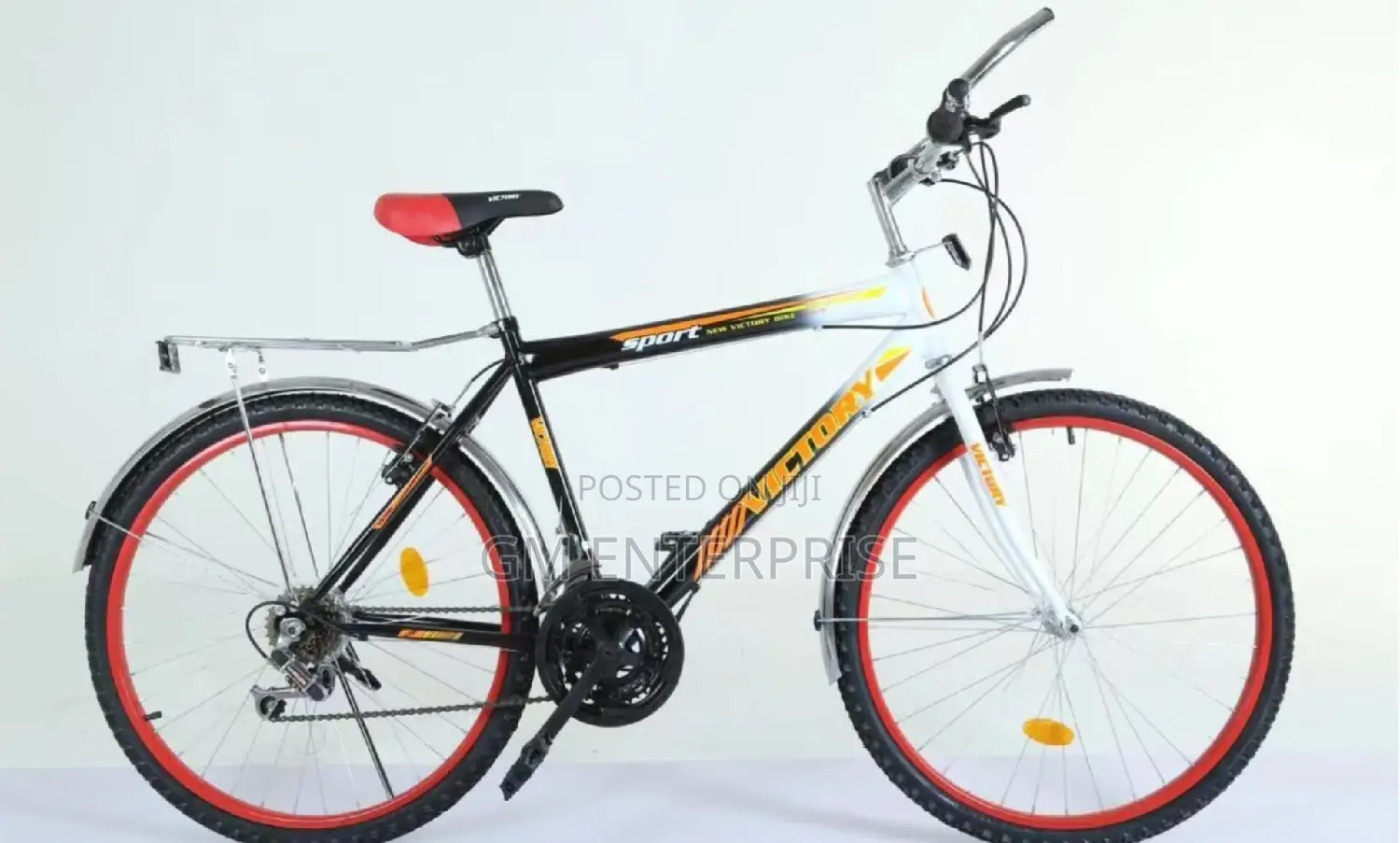 Victory Mountain Bike Size 24".