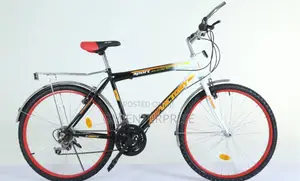 Victory Mountain Bike Size 24".