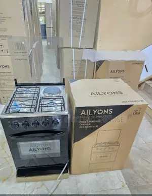 50*55 Ailyons 3+1 Standing Cooker
