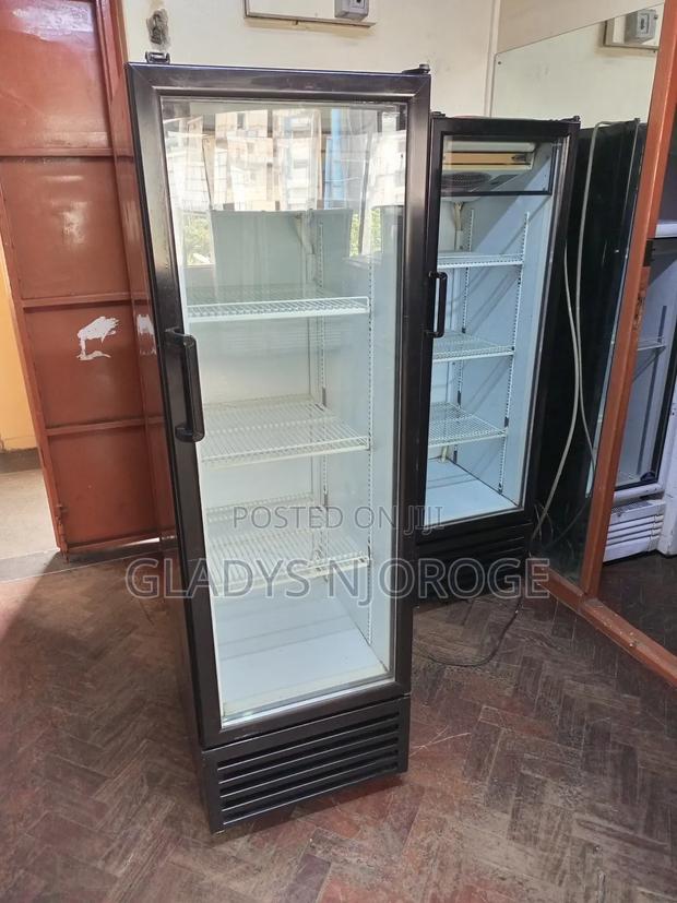 Medium Fregorex ( 309l) Display Fridge - thumbnail 2