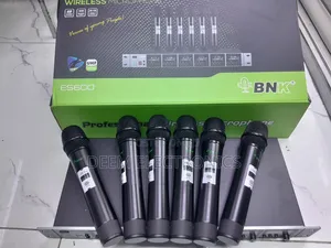 BNK Es600 Wireless Microphones