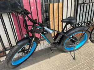 Durable E Bike for Cargo and Delivery