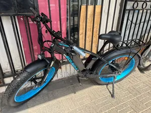 1000w E Bike With Fast Charge and Long Range