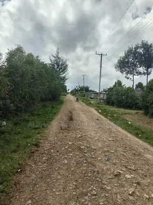 Nanyuki 50/100 Plots