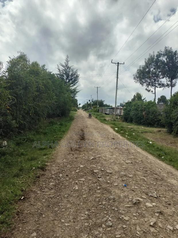 Nanyuki 50/100 Plots