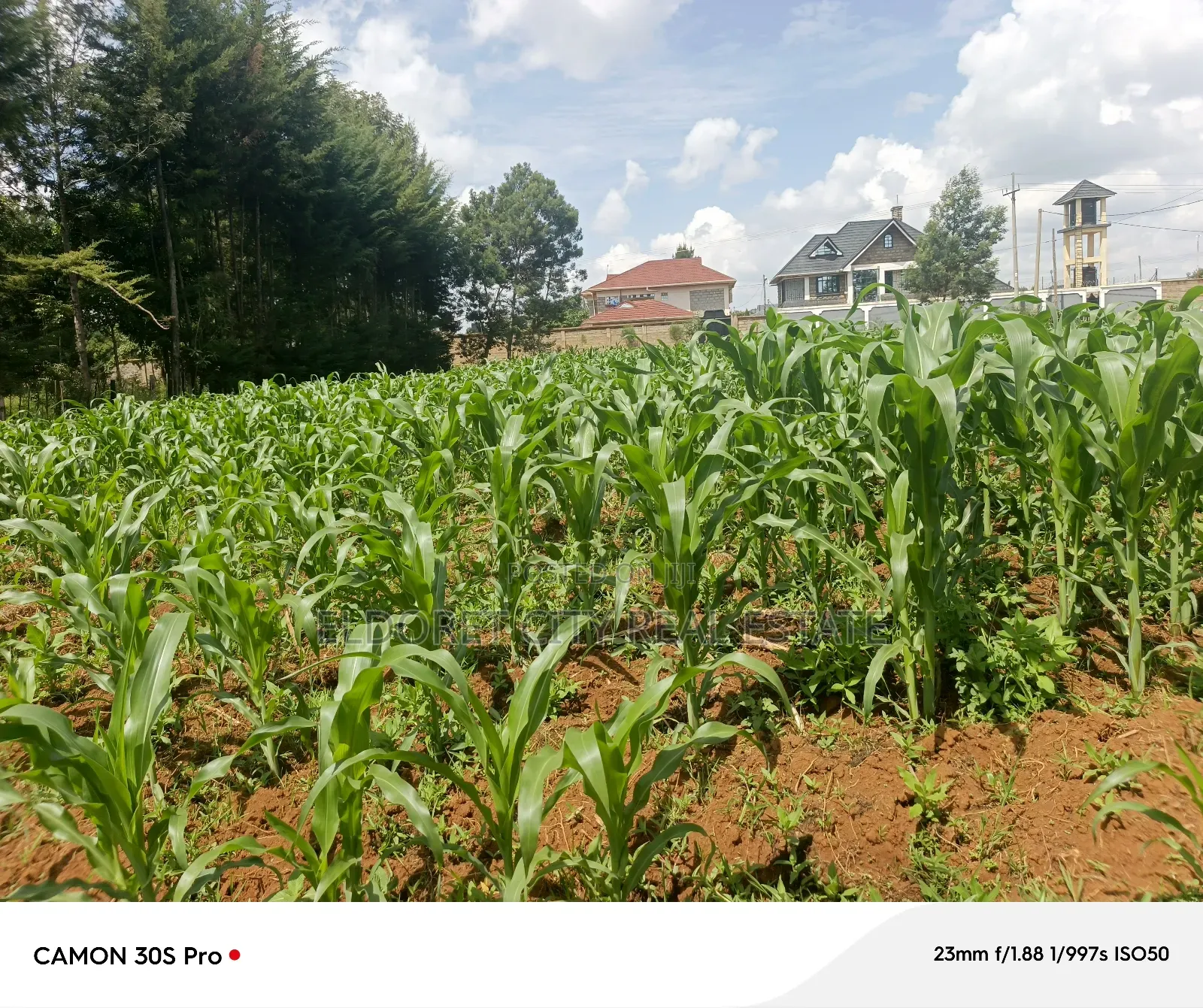 1/2 Acre Upper Elgonview or One Acre.