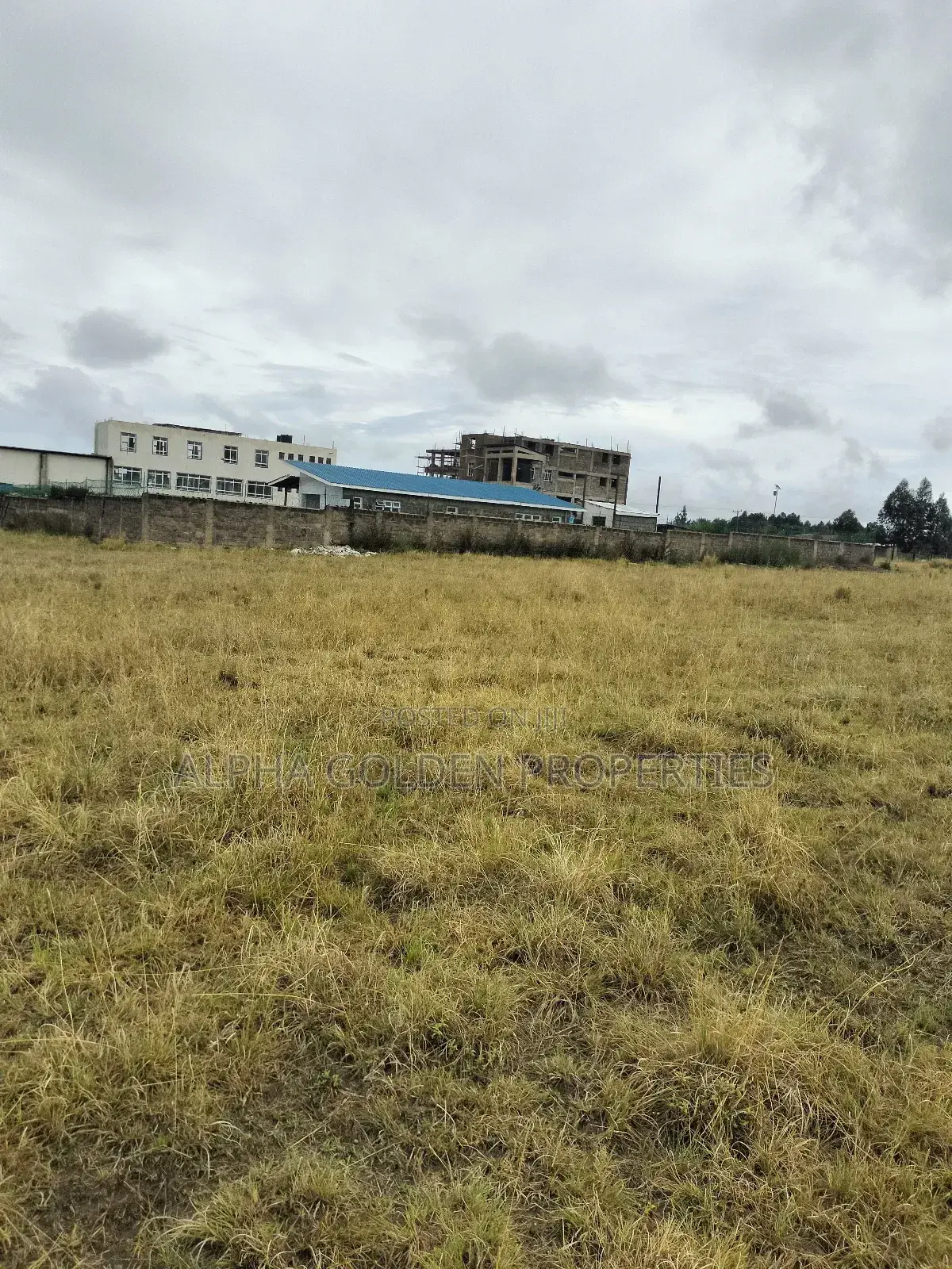 Nanyuki 100/100 Plots