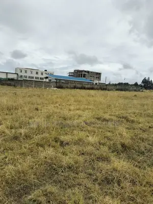 Nanyuki 100/100 Plots