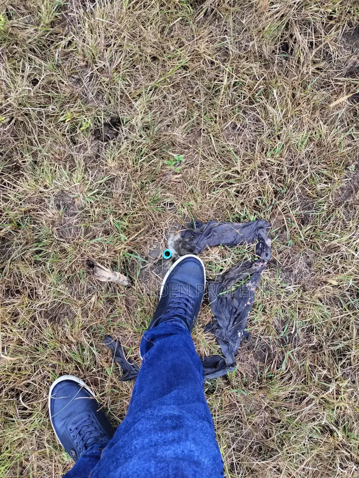 Nanyuki 100/100 Plots