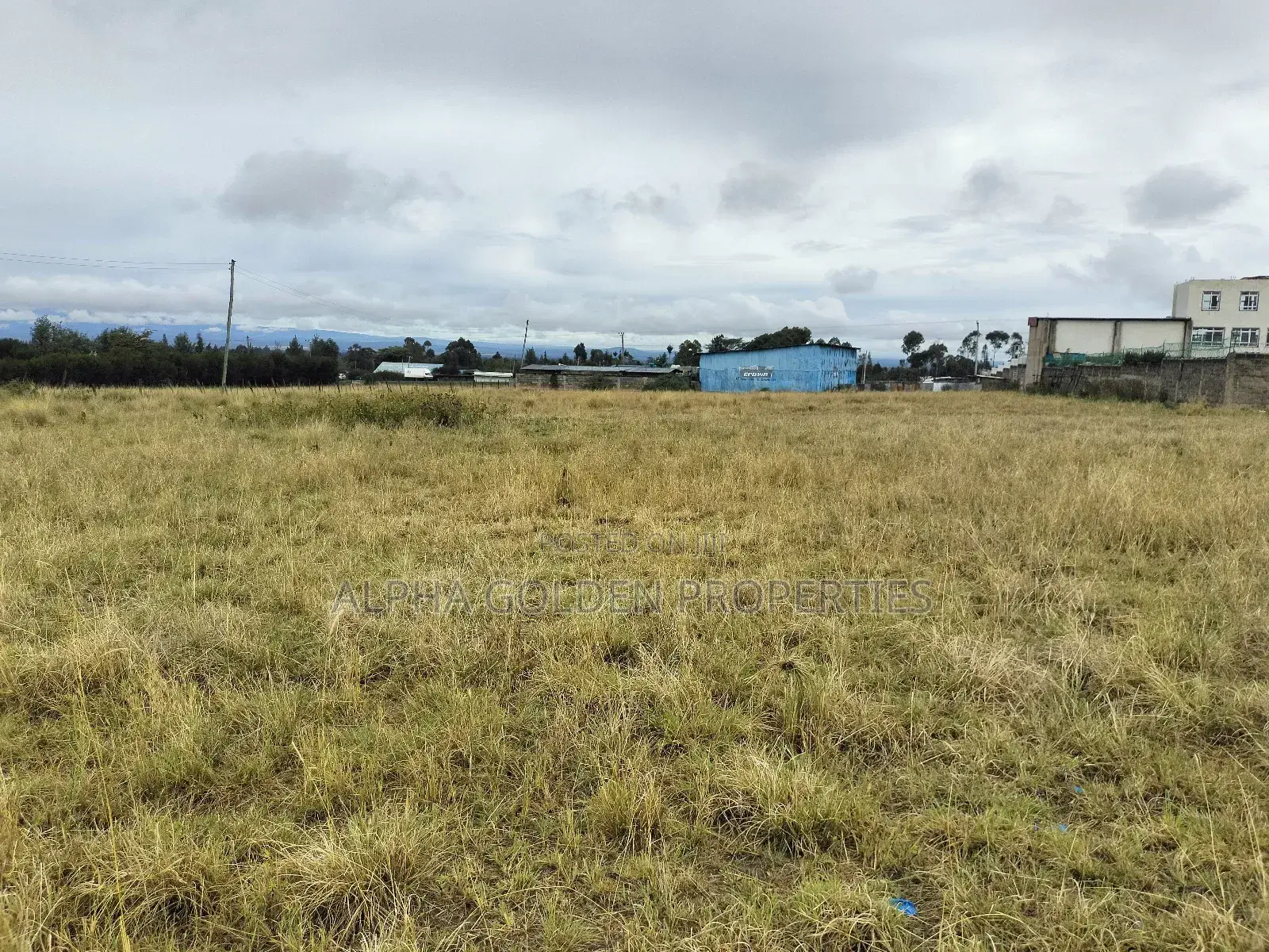 Nanyuki 100/100 Plots