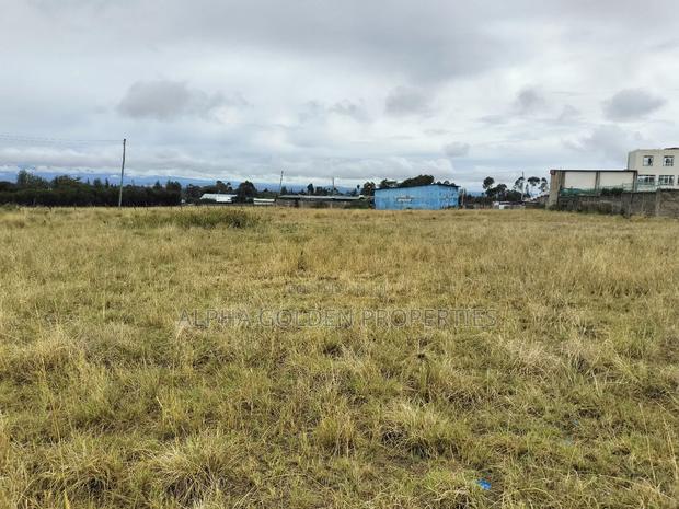 Nanyuki 100/100 Plots - thumbnail 3