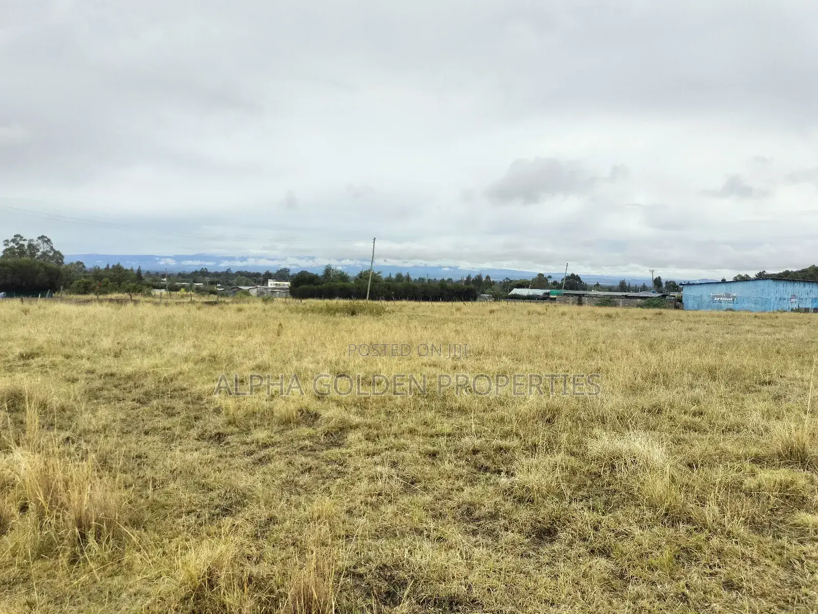 Nanyuki 100/100 Plots