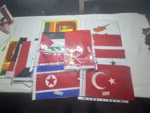 All Asian Countries Flag 8”X12” Flag (20cm by 30cm)