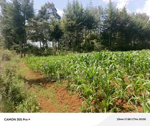 One Acre Elgonview Estate - main view