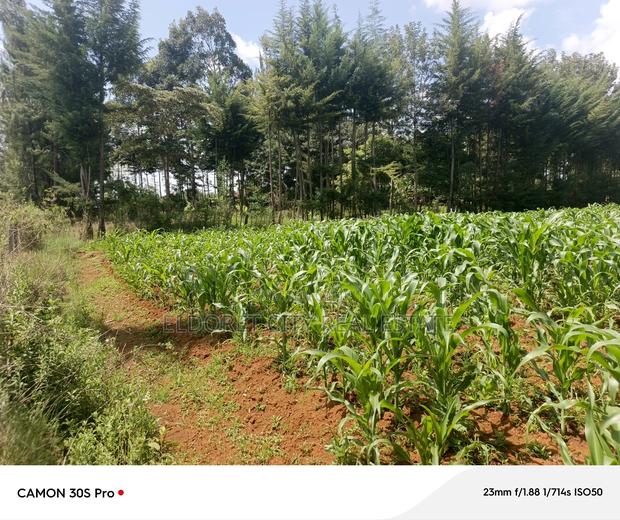 One Acre Elgonview Estate