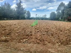 Nanyuki Nkando 1 Acre 300mtrs From Tarmac