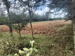 Nanyuki Nkando 1 Acre 300mtrs From Tarmac