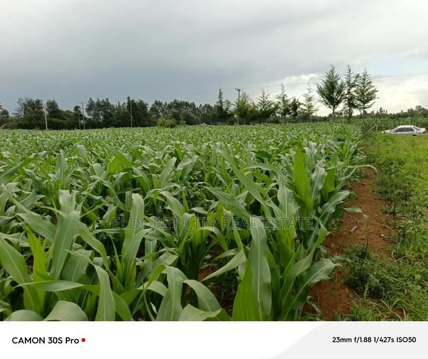 Two Acres Marura With Title Good for Residential