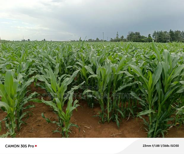 Two Acres Marura With Title Good for Residential - thumbnail 2