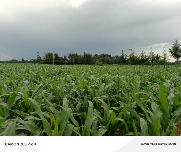 Two Acres Marura With Title Good for Residential - thumbnail 3