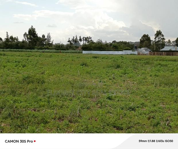 1/4 Plots Marura Chemaluk With Title - main view