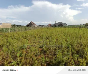 1/4 Plot Marura Chamaluk Area With Title