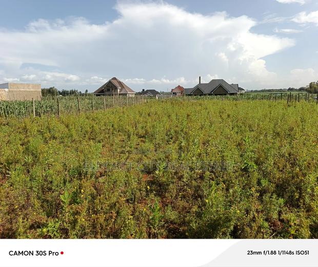 1/4 Plot Marura Chamaluk Area With Title