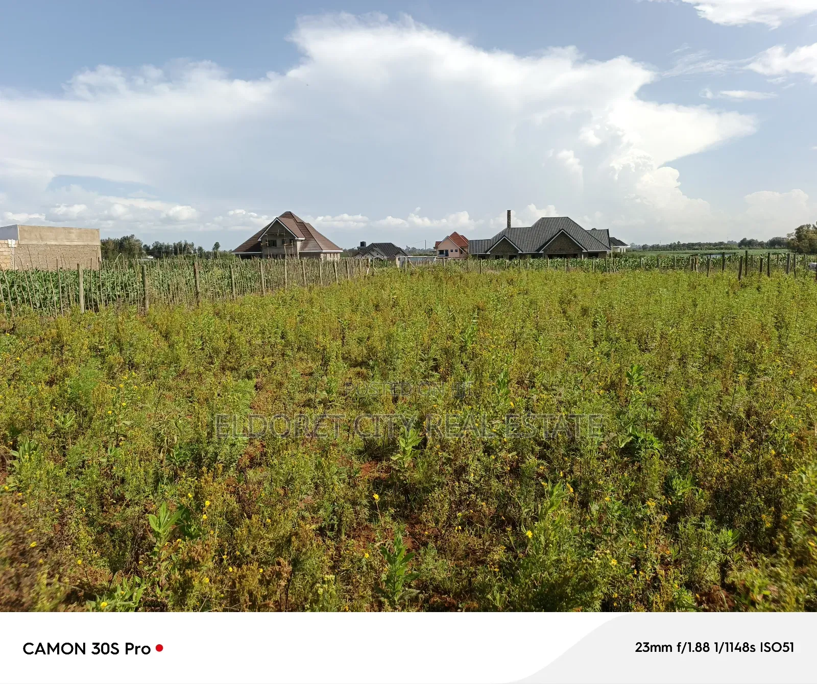 1/4 Plot Marura Chamaluk Area With Title