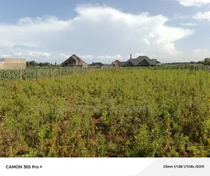 1/4 Plot Marura Chamaluk Area With Title