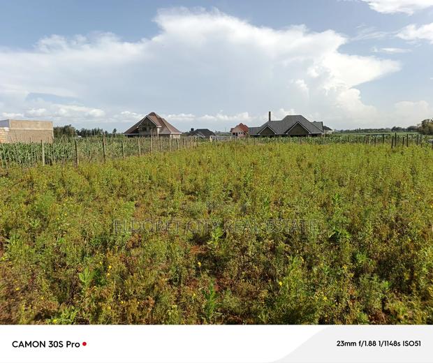 1/4 Plot Marura Chamaluk Area With Title - thumbnail 2