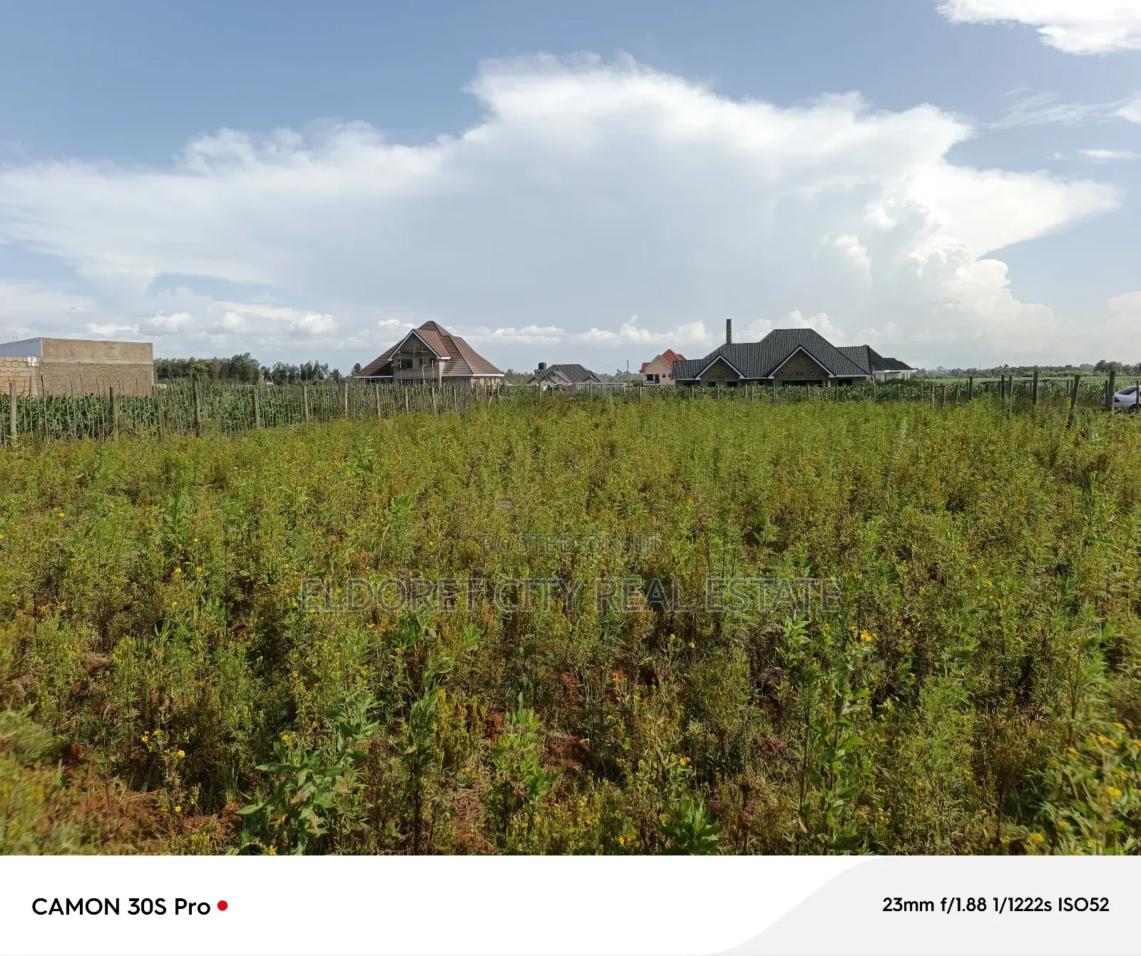1/4 Plot Marura Chamaluk Area With Title