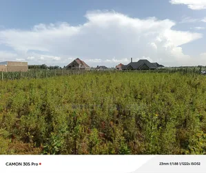 1/4 Plot Marura Chamaluk Area With Title