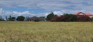 For 1.49 Million Get to Own a Plot 500 Meters From Tarmac