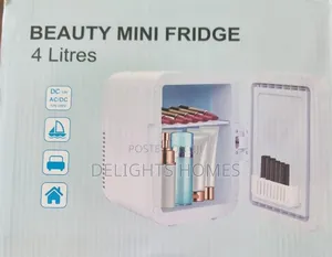 Portable Beauty Car Fridge_pa