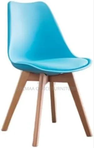 Designer Eames Chair