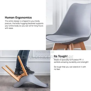 Designer Eames Chair
