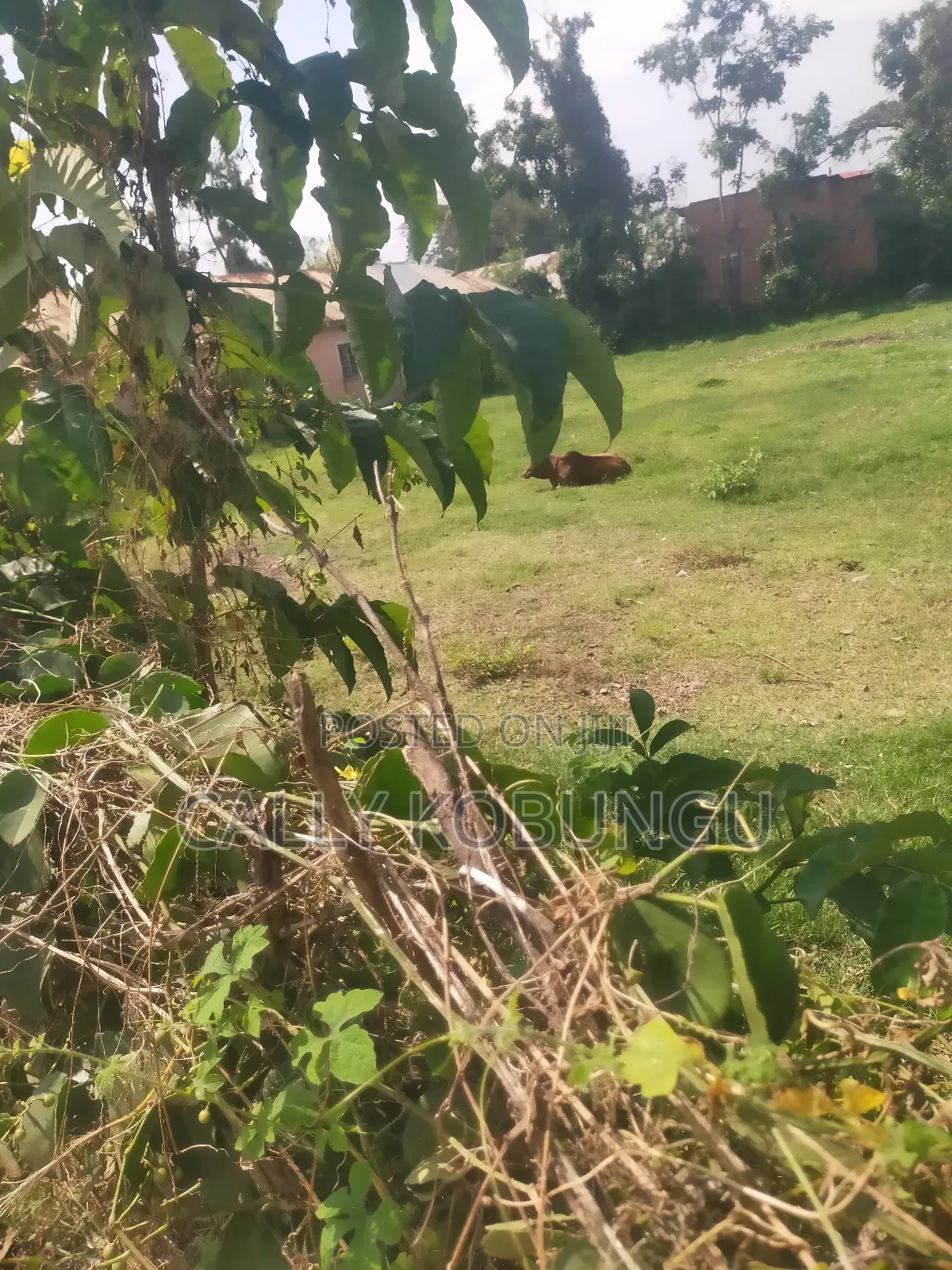 0.1 Ha in Kisumu Nyalenda