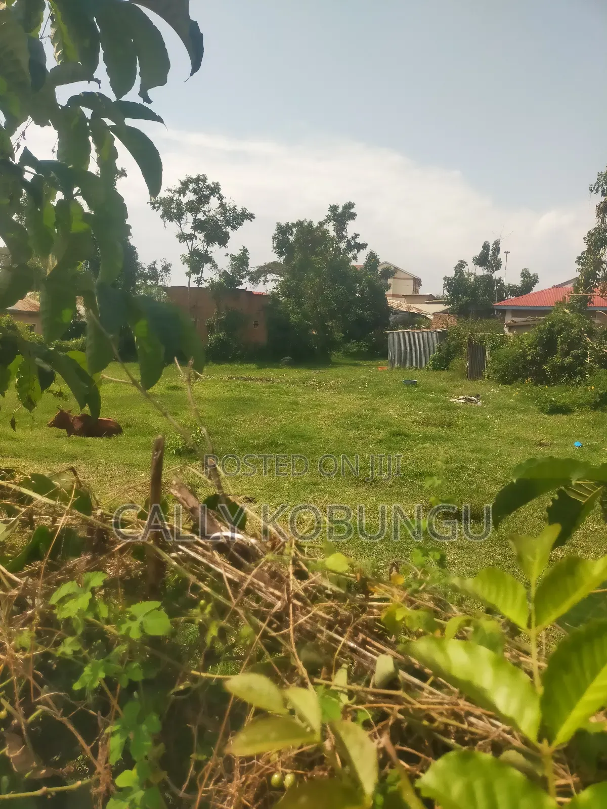 0.1 Ha in Kisumu Nyalenda