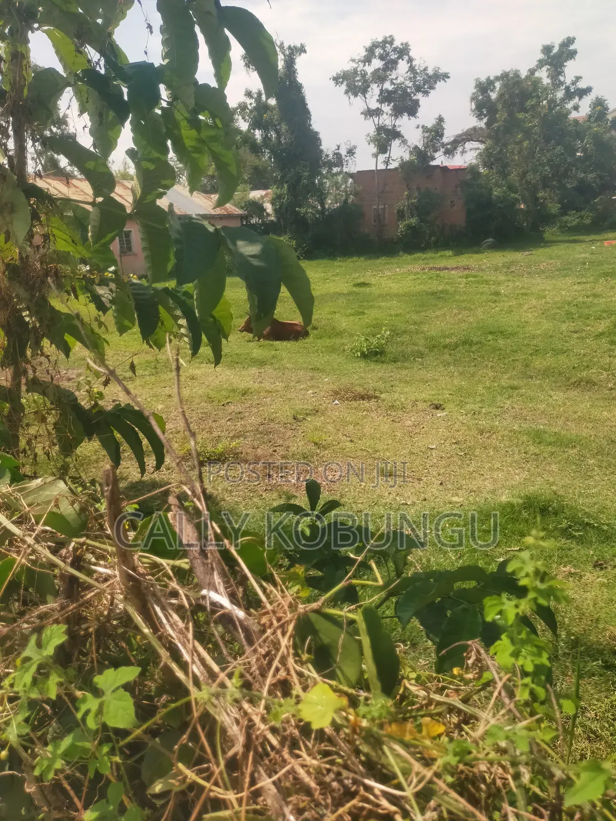 0.1 Ha in Kisumu Nyalenda