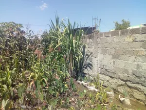 Plot for Sale in Kimbo Ruiru