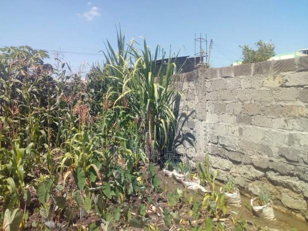 Plot for Sale in Kimbo Ruiru