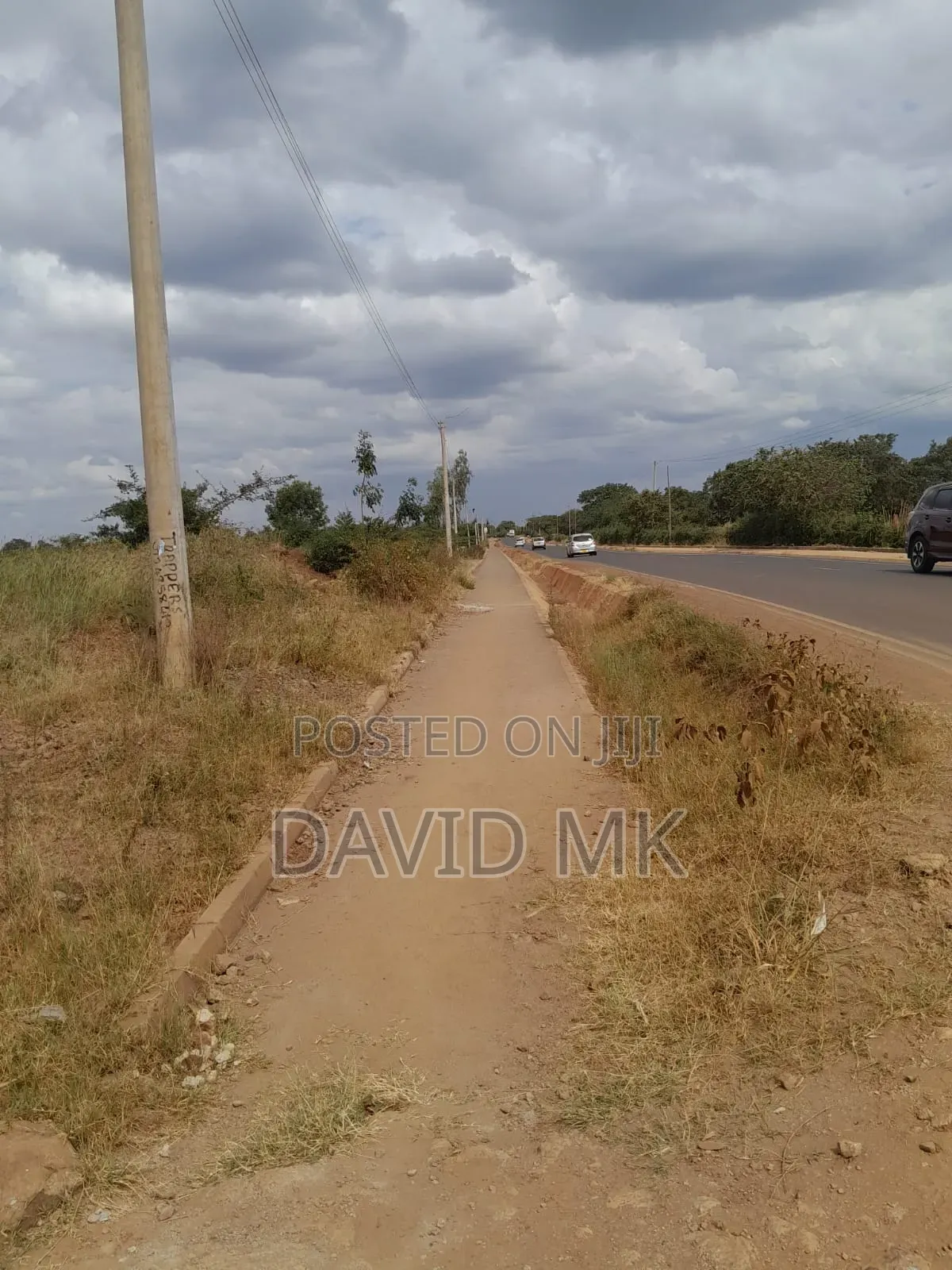 Land 115 Acres for Sale
