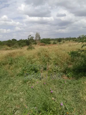 Land 115 Acres for Sale