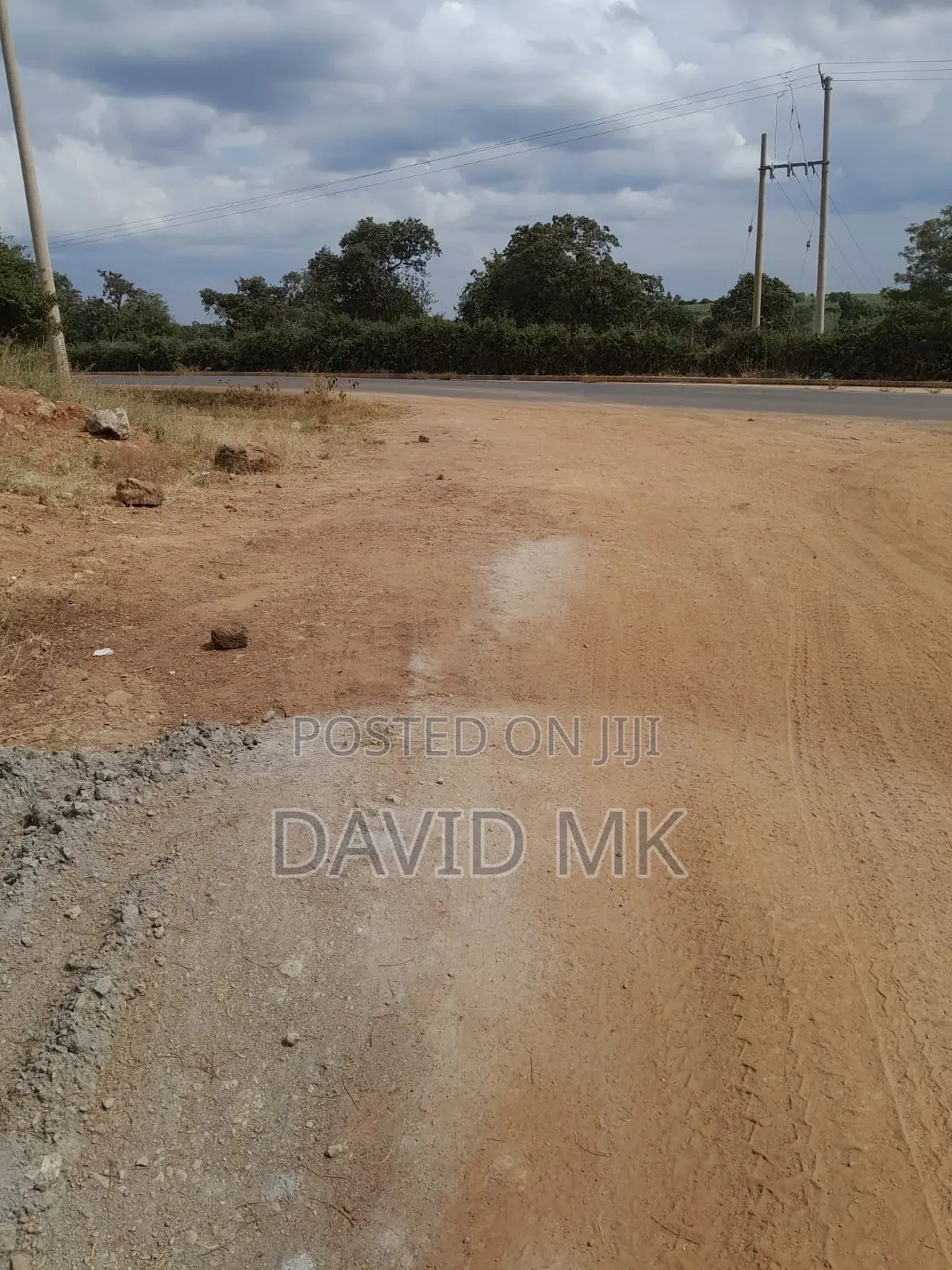 Land 115 Acres for Sale