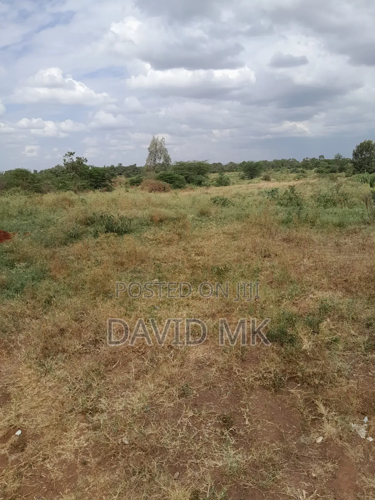 Land 115 Acres for Sale